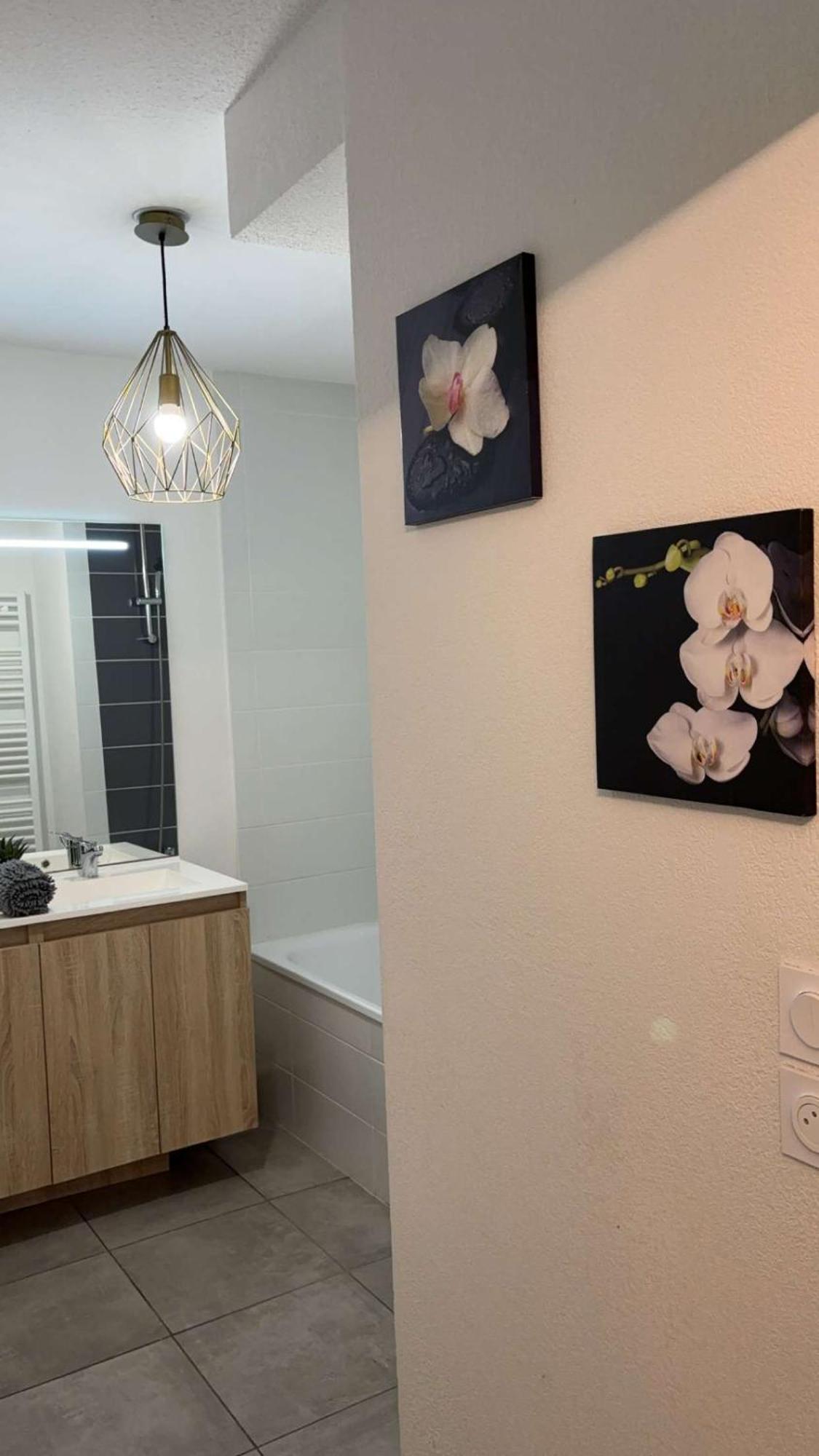 Suite Jacuzzi "Spa Privatif " Appartement Jacuzzi Toulouse Extérieur photo