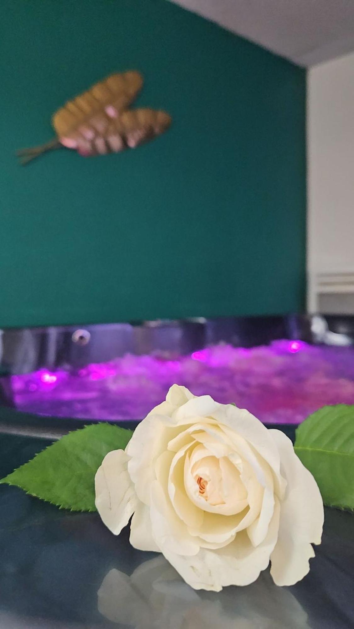 Suite Jacuzzi "Spa Privatif " Appartement Jacuzzi Toulouse Extérieur photo