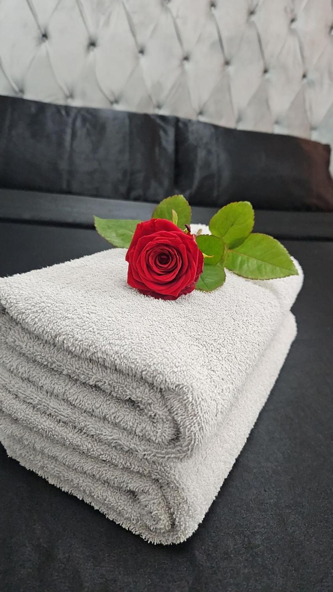 Suite Jacuzzi "Spa Privatif " Appartement Jacuzzi Toulouse Extérieur photo