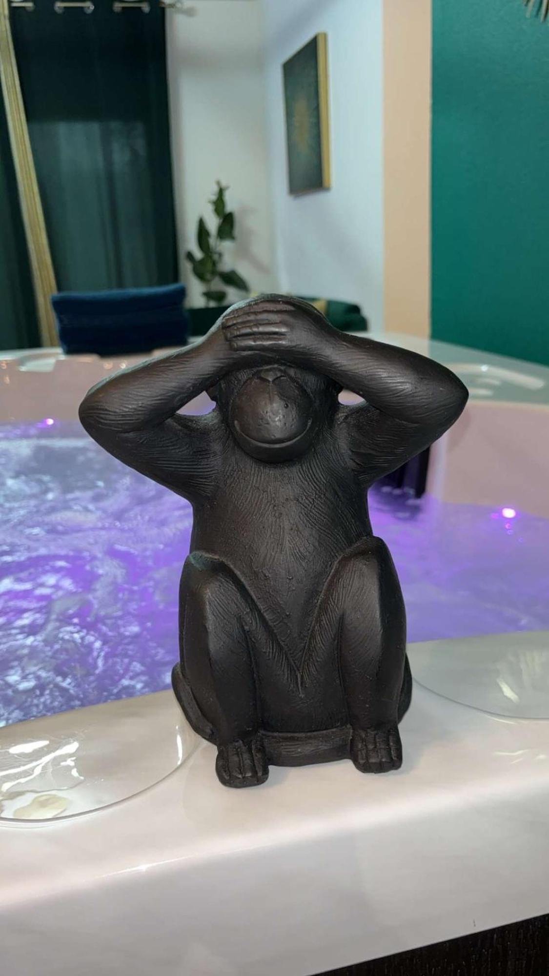 Suite Jacuzzi "Spa Privatif " Appartement Jacuzzi Toulouse Extérieur photo